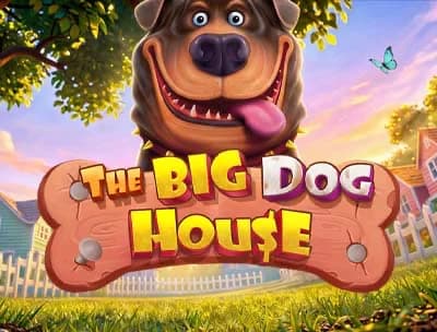 The Big Dog House